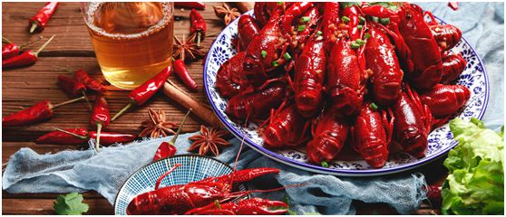 武漢重啟，創爾特健康家電為楚菜在線打call