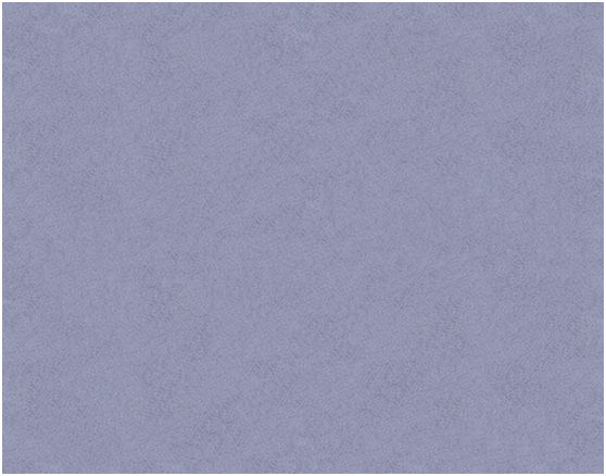 箭牌漆穩抓機遇傲立市場 旗下藝術涂料產品盡顯光芒