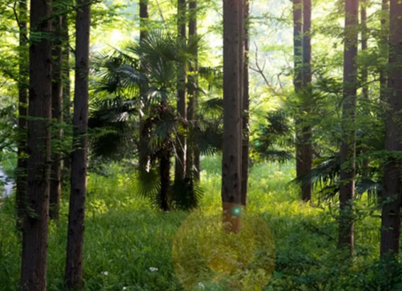 智閣環保生態板：你的健康，我們守護