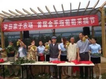 讓休閑農業(yè)莊園頭疼的營銷策劃：你需要一個動聽的好故事