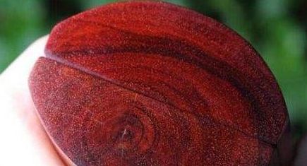 紅木家具中的小葉紫檀大葉紫檀，一字之差，二者有何不同？