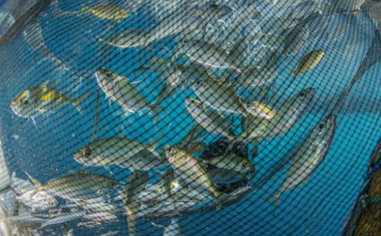 對比分析兩種主流廣告模式，顛覆你營銷思維