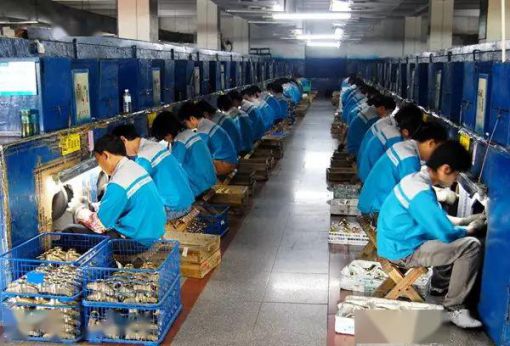 品牌招商|輝煌廚衛7大優勢,帶你快速掘金! 品牌招商|輝煌廚衛7大優勢,帶你快速掘金!