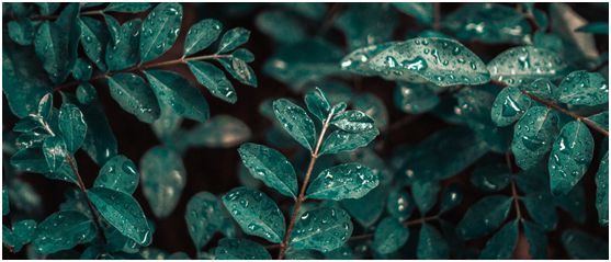 潮濕天氣,高美抽濕機(jī)除濕調(diào)溫守護(hù)健康 潮濕天氣,高美抽濕機(jī)除濕調(diào)溫守護(hù)健康