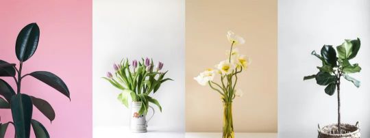 從2020家居潮流4大關(guān)鍵詞出發(fā),為您解讀燈飾設(shè)計新趨勢 從2020家居潮流4大關(guān)鍵詞出發(fā),為您解讀燈飾設(shè)計新趨勢