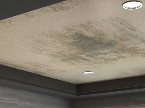 偉星管業|SPM中央集中排水系統痛快有效解決衛生間 堵?漏?臭