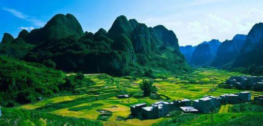 品牌產品|雪寶森林有氧板,有效釋放負氧離子長達15年 品牌產品|雪寶森林有氧板,有效釋放負氧離子長達15年