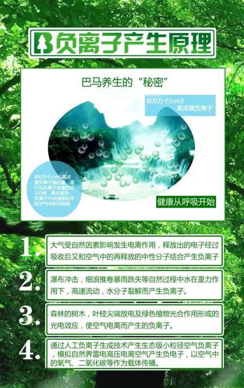 品牌產品|雪寶森林有氧板,有效釋放負氧離子長達15年 品牌產品|雪寶森林有氧板,有效釋放負氧離子長達15年