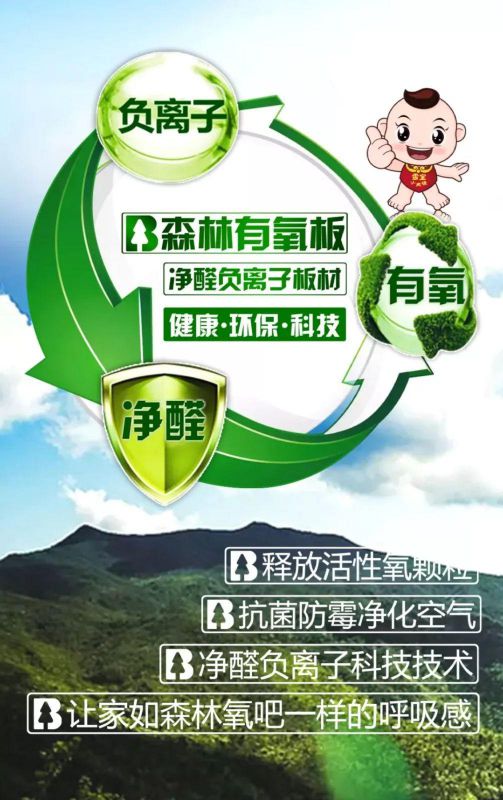 品牌產品|雪寶森林有氧板,有效釋放負氧離子長達15年 品牌產品|雪寶森林有氧板,有效釋放負氧離子長達15年