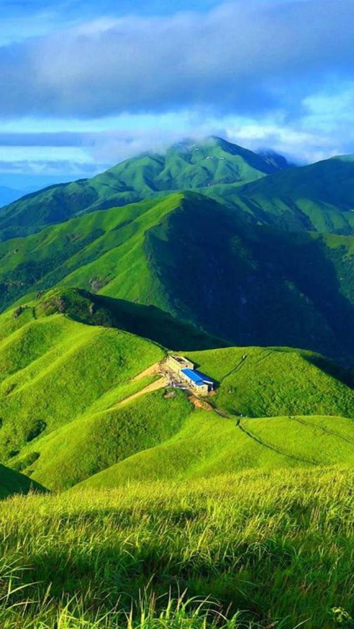 品牌產品|雪寶森林有氧板,有效釋放負氧離子長達15年 品牌產品|雪寶森林有氧板,有效釋放負氧離子長達15年