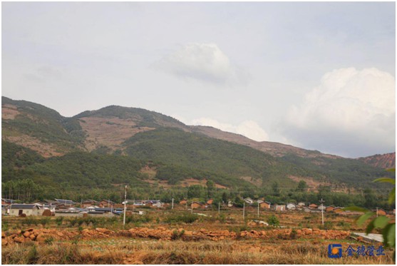 那一抹安靜的藍——金德管業