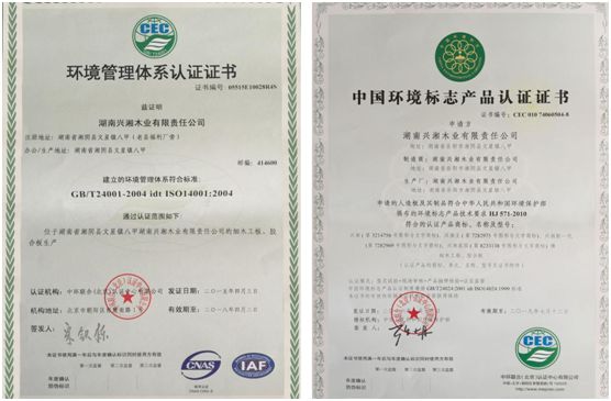 以質為本 興湘木業榮獲“中國十大品牌”稱號