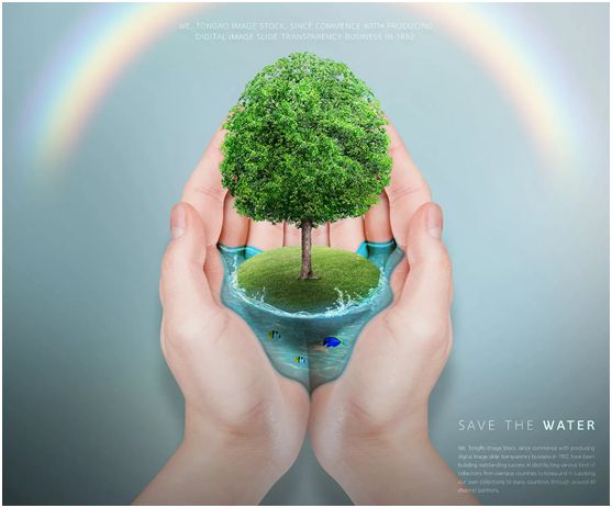 華洲木業，正在崛起的環保王國