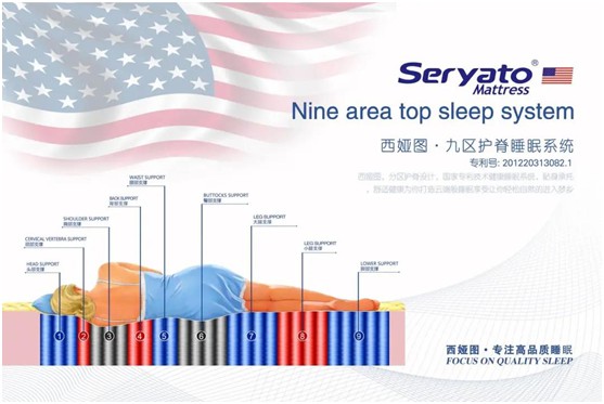 圖發展 贏未來:破局2020,西婭圖抓住新機遇! 圖發展 贏未來:破局2020,西婭圖抓住新機遇!