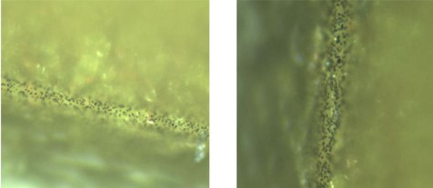 LED美得出眾,離不開抗硫神技 LED美得出眾,離不開抗硫神技