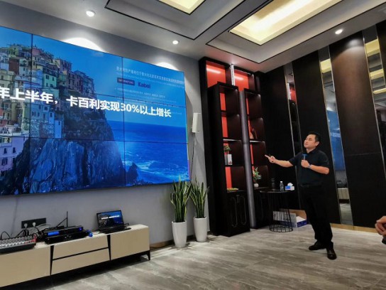 2020上半年,卡百利藝術(shù)涂料實現(xiàn)30%以上增長 2020上半年,卡百利藝術(shù)涂料實現(xiàn)30%以上增長