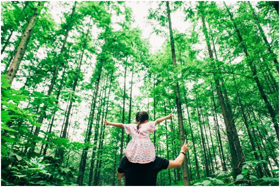 致敬父愛|福臨板材愛家有方,用芯締造居家健康 致敬父愛|福臨板材愛家有方,用芯締造居家健康