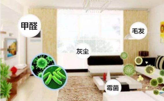 德國精工·諾森柏格是一個專注、專業的家用空氣凈化器品牌