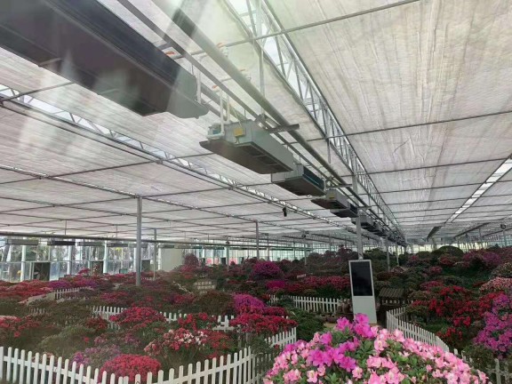 岳西大觀園12000㎡花卉大棚采用格美粵空氣源熱泵，三年無故障運(yùn)行
