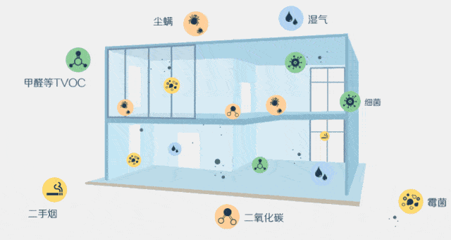家里空氣凈化器效果越來越差？圣德芬覺得你方法不對！