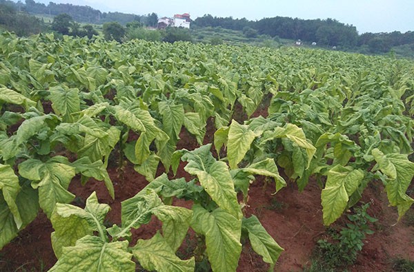 成都鼓勵使用空氣能熱泵，同益強勢助力 
