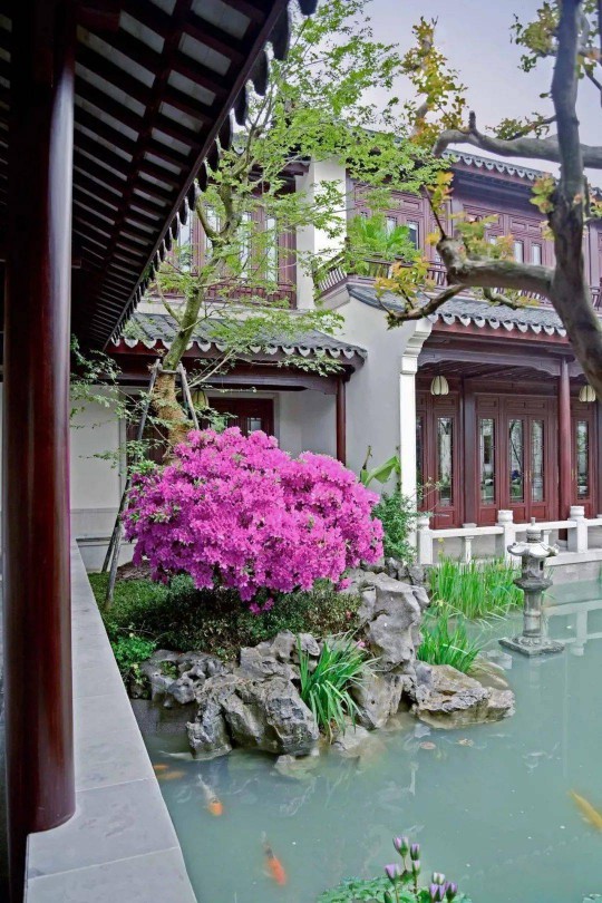 山水為丹青,門(mén)窗為鏡頭!三宅門(mén)窗為中式建筑添彩… 山水為丹青,門(mén)窗為鏡頭!三宅門(mén)窗為中式建筑添彩…