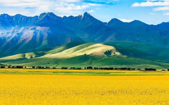 有需求的地方,就有科龍中央空調! 有需求的地方,就有科龍中央空調!