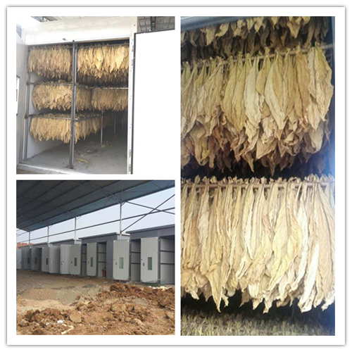 格美粵空氣能首場空氣能煙草烘干直播圓滿結束!