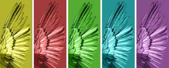 雅麗斯五金展廳升級 | 極簡之翼,正在展翅翱翔! 雅麗斯五金展廳升級 | 極簡之翼,正在展翅翱翔!