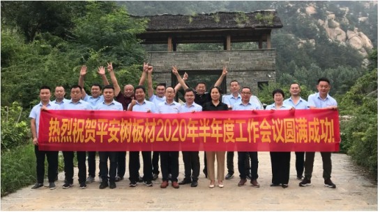 平安樹板材2020年半年度工作會議圓滿成功