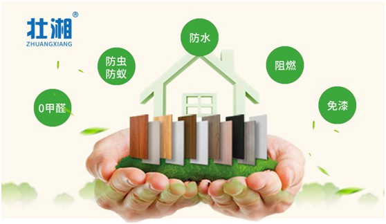 壯湘引領綠色環保生活 守護您與家人的健康 壯湘引領綠色環保生活 守護您與家人的健康