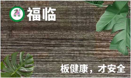 福臨板材:專注健康綠色家裝,造就生活不凡品味 福臨板材:專注健康綠色家裝,造就生活不凡品味