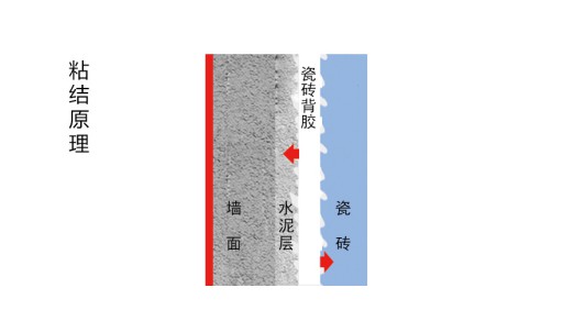 瓷磚背膠粘與不粘,不能作為產品好壞及產品質量的依據 瓷磚背膠粘與不粘,不能作為產品好壞及產品質量的依據