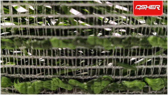 亞設體育發布ENOCH以諾真假混織草坪，或將引爆行業趨勢