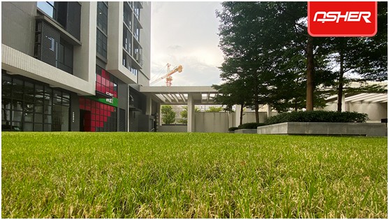 亞設體育發布ENOCH以諾真假混織草坪，或將引爆行業趨勢