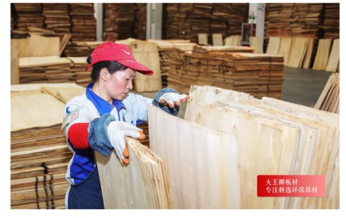 大王椰A7家具板：5A級精選環保原材，健康挑出來