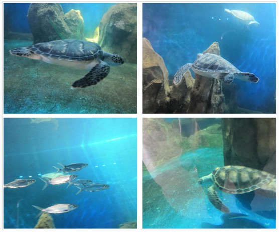 “同心同行,交融共贏” 君匠世家藝術涂料團建精彩回顧