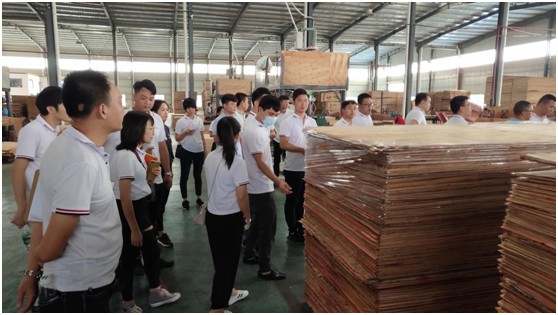 交流促發展 吉鴻組織員工前往廣西生產基地學習調研