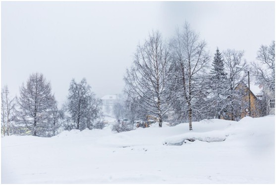 冠華照明·北歐風格:清新簡約的人文之美