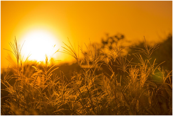 柯萊德門窗:細膩專注只傾情于您