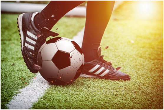 柏克體育：霜降時節 我們一起去運動吧!