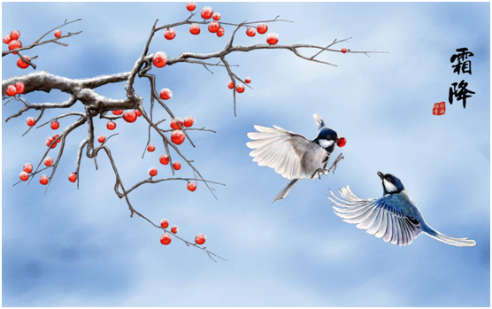 天寒霜重暮色長 YORK約克集成熱水器締造奢享溫暖