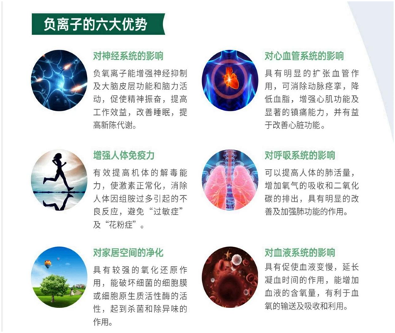 福臨板材實錘“科普”：健康板材盛勢開賣，三大標準賦能生態