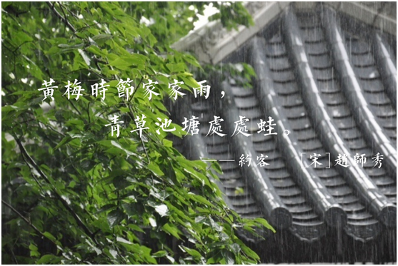 蒙蒂尼不銹鋼櫥柜，讓廚房告別梅雨季