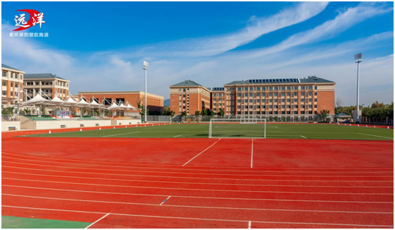 遠洋體育四大核心優勢，邀您共赴商業藍海