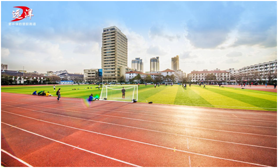 遠洋體育透氣型塑膠跑道：性能優越，工藝精良