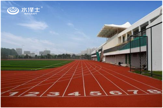 水澤士：“雙減”政策下，體育產業迎來新機遇!