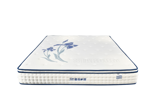 大暑炎炎蟬蛙鳴 夜夜好眠到天明 健康舒睡 盡在星港